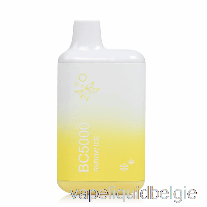 Vape België Bc5000 Wegwerp Sneeuwijs